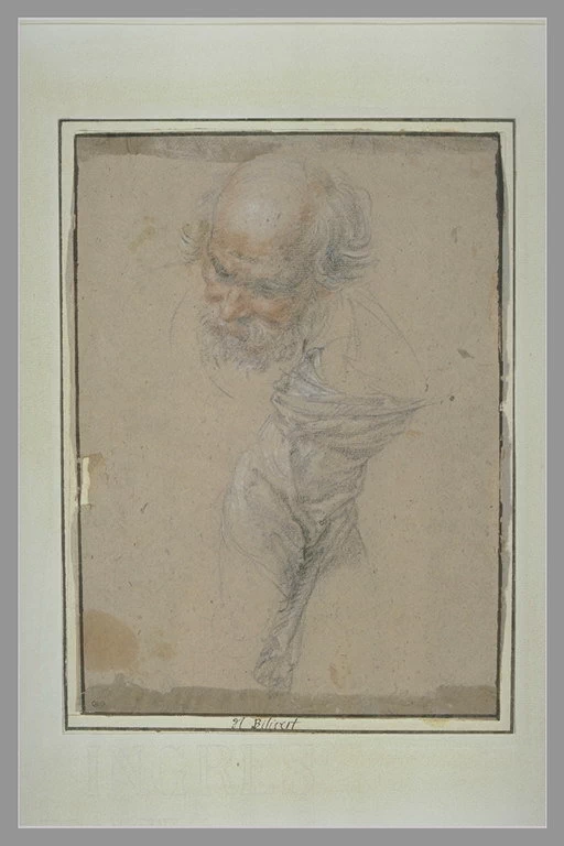 Testa di vecchio calvo, studio di panneggio su un torso - Museo del Louvre, Parigi